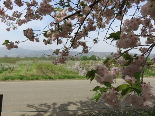 c0013922_08353524.jpg