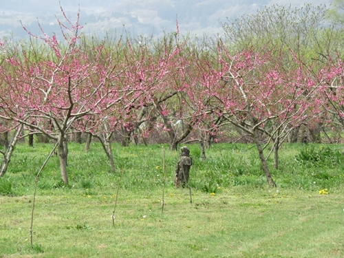 c0013922_08361561.jpg