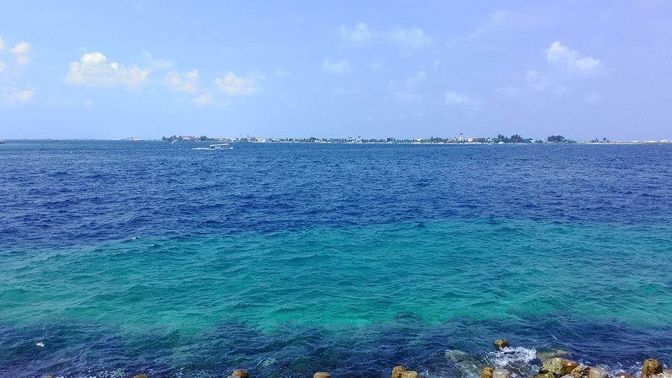 a0284528_20404445.jpg