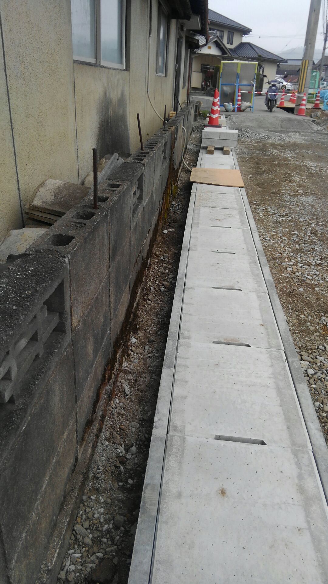 f0111128_10320921.jpg