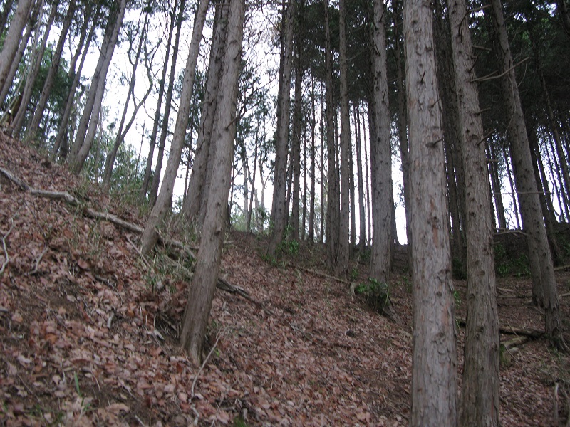d0333943_1644620.jpg