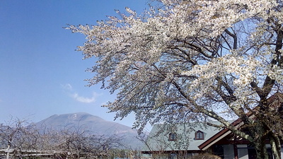 b0126549_1550284.jpg