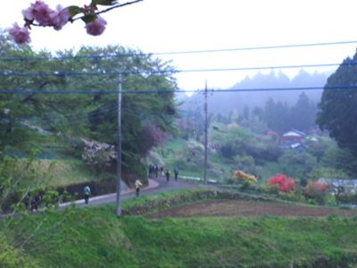 b0220251_102877.jpg