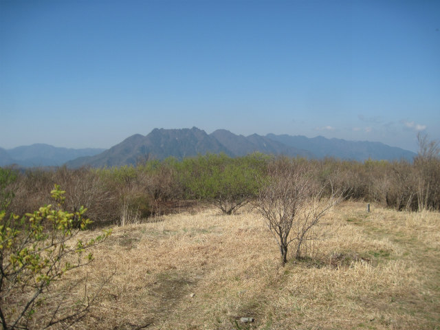c0219866_1832035.jpg