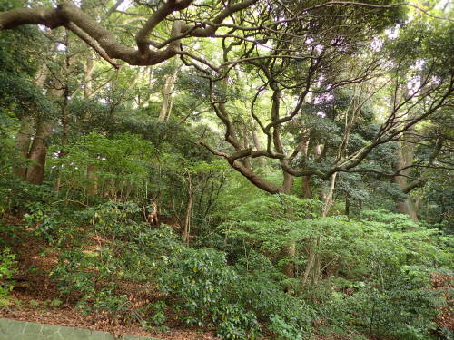 c0286574_13500237.jpg