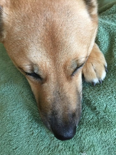 c0364176_10114184.jpeg