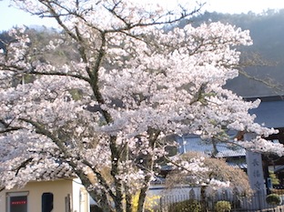 a0234877_216313.jpg