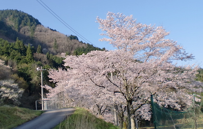a0234877_2163390.jpg