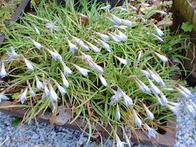 a0234877_216374.jpg