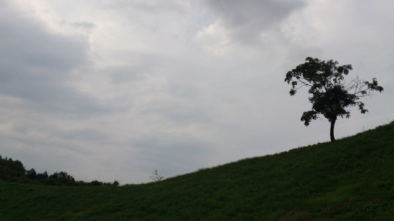 e0039879_16353567.jpg