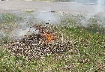 f0003283_17371528.jpg