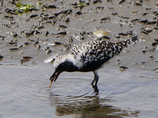 d0088184_21300609.jpg