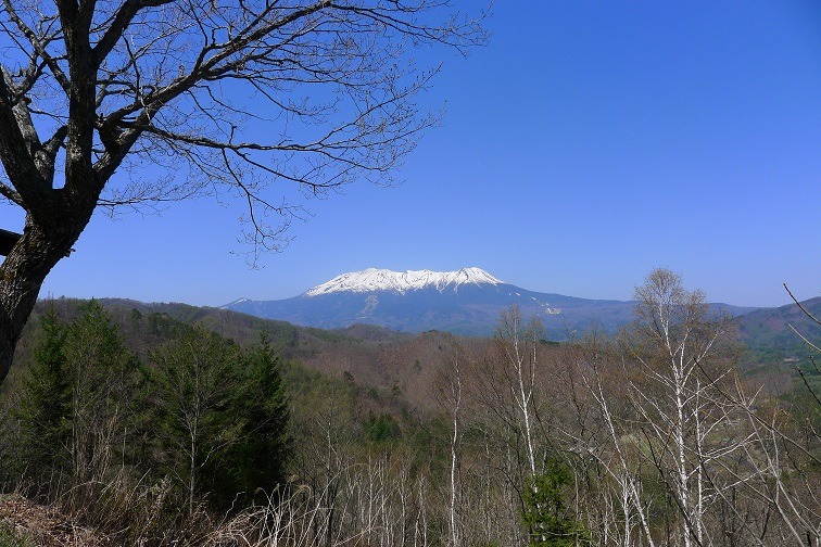 a0130586_16304499.jpg