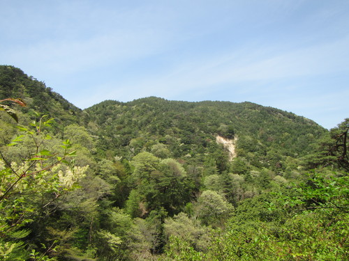 a0251786_2081498.jpg