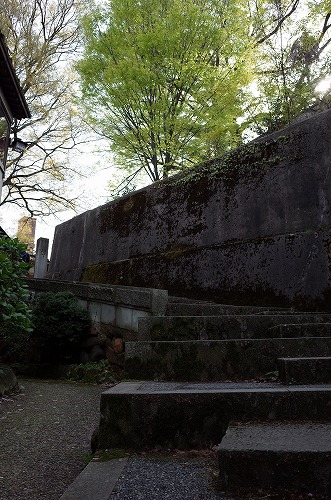 b0119493_1154787.jpg