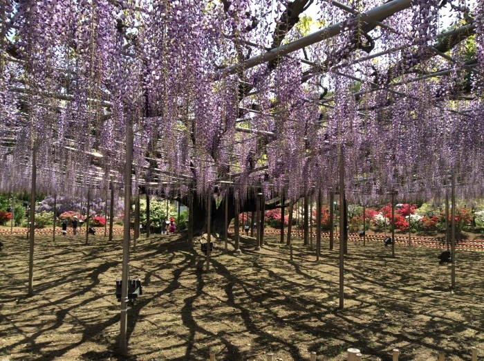 f0268294_18280167.jpeg