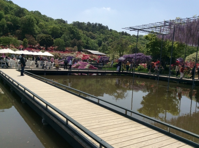 f0268294_18350639.jpeg