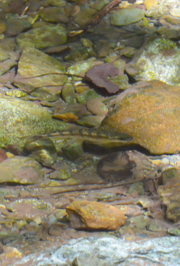 b0078795_18193872.jpg