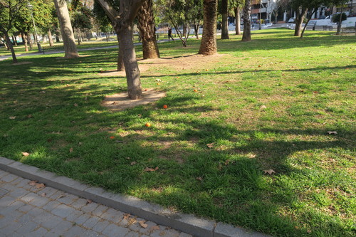d0077699_1017654.jpg