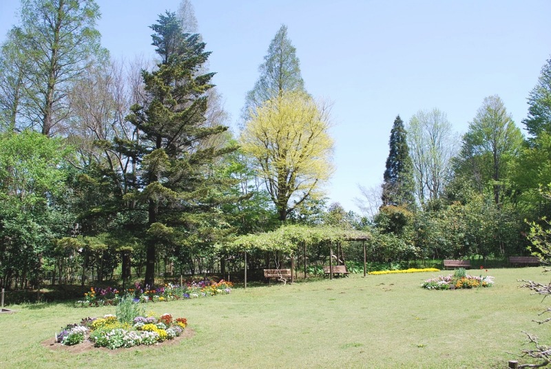 e0025300_18335138.jpg
