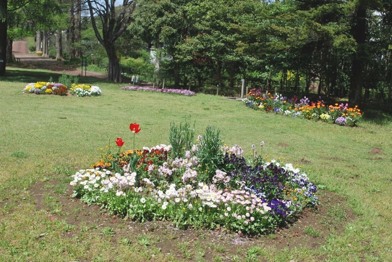e0025300_18414523.jpg