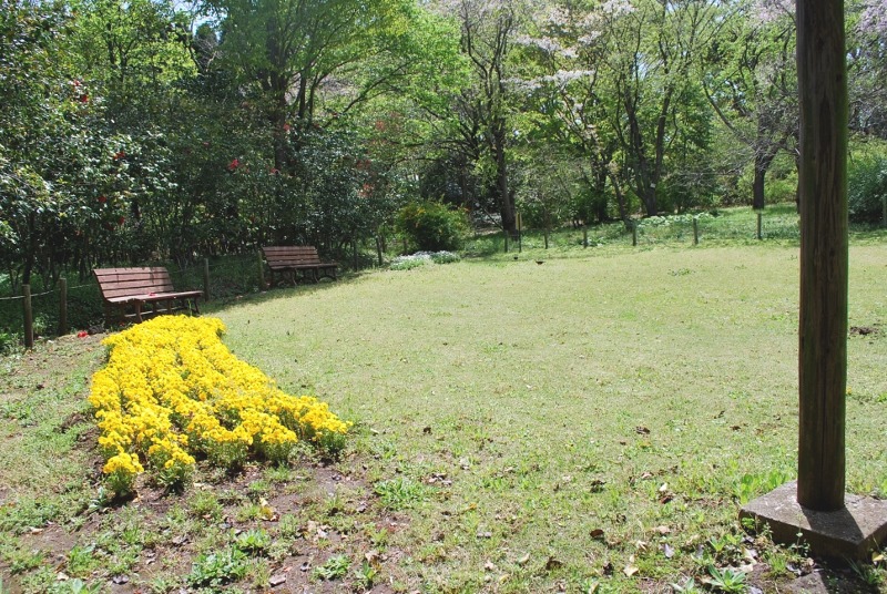e0025300_18452314.jpg