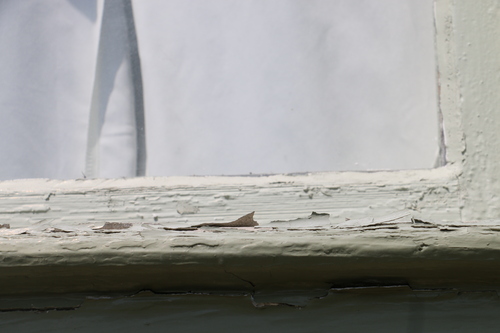 c0075701_13243717.jpg