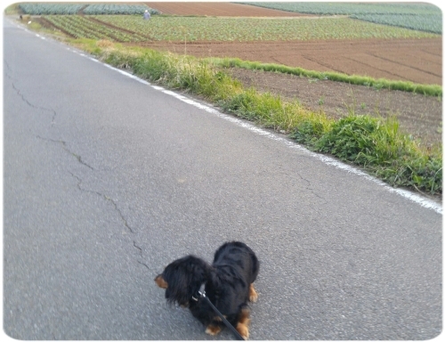 d0347205_11172552.jpg