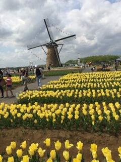 e0178307_15503432.jpg