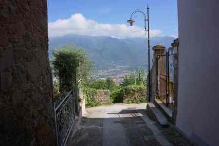 a0165709_208286.jpg