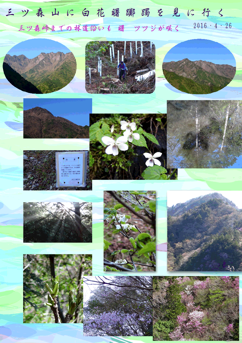 f0231709_16204695.gif