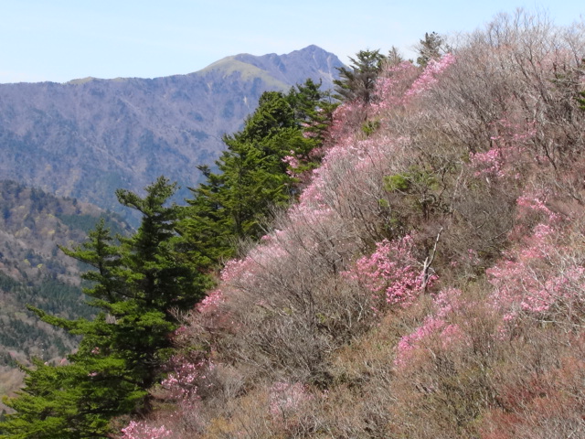 f0231709_1654767.jpg