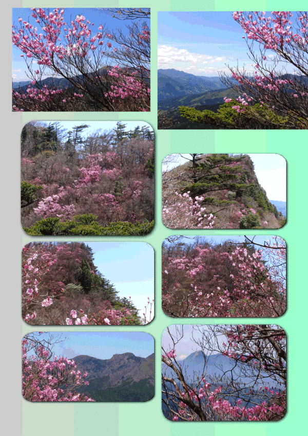 f0231709_17241313.gif