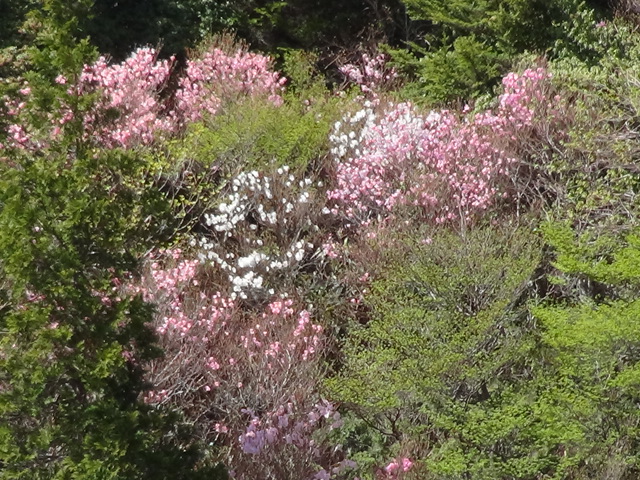 f0231709_17323395.jpg