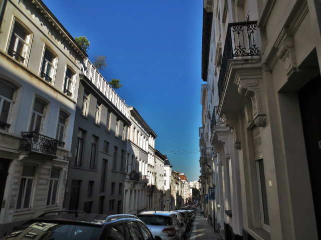 b0064411_01050702.jpg