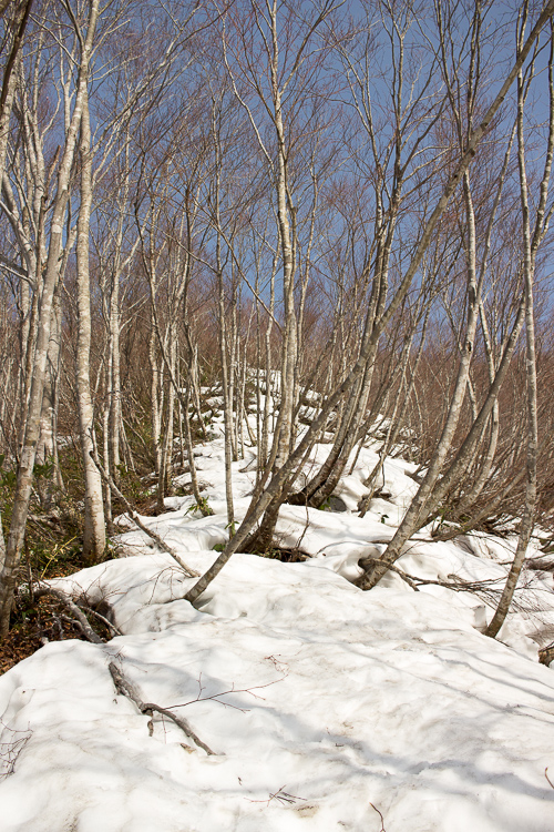 b0244811_22294723.jpg
