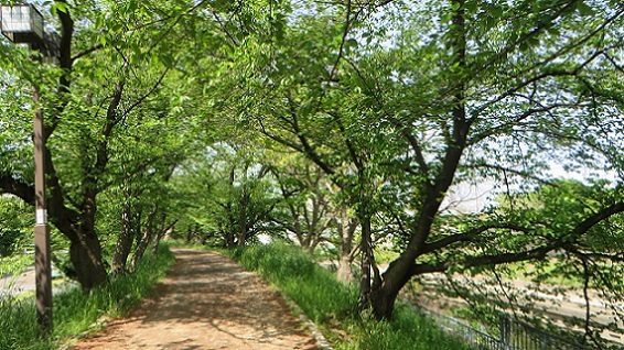 c0280322_16544596.jpg