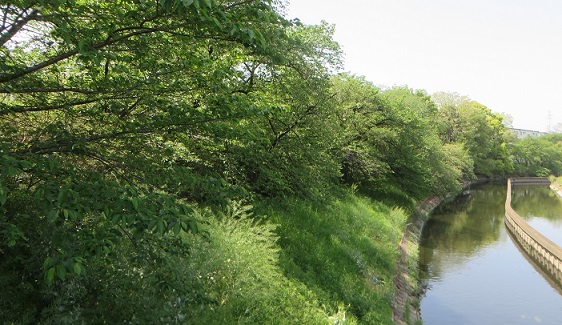 c0280322_16544989.jpg
