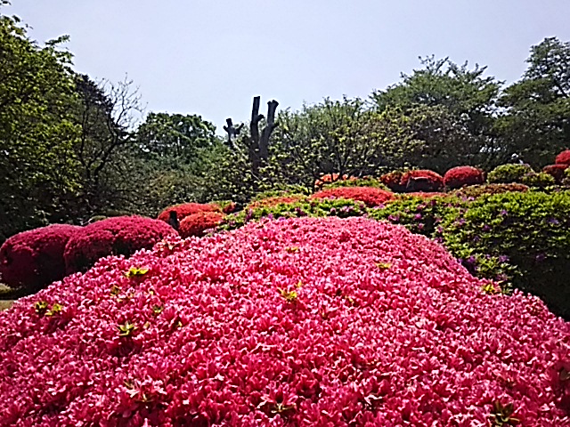 e0047322_2326356.jpg