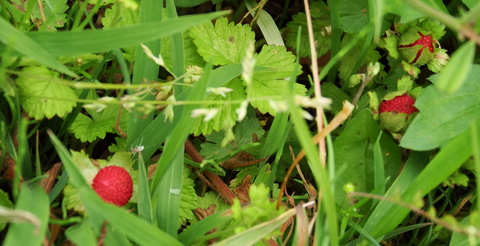 c0335229_23265989.jpg