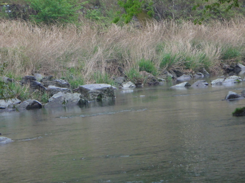 a0156834_15280814.jpg