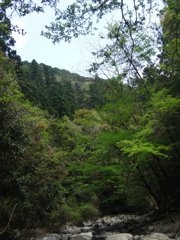a0156834_15280851.jpg