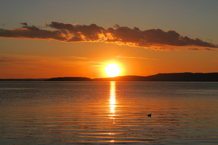 f0234936_359254.jpg