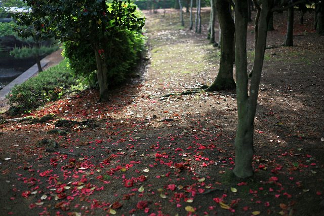 a0242438_19405211.jpg
