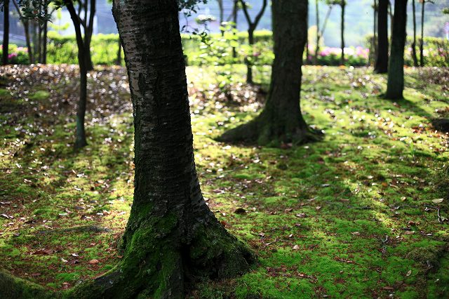 a0242438_19413290.jpg