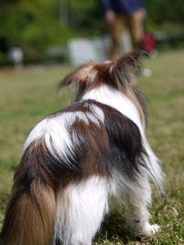 e0100046_14155855.jpg