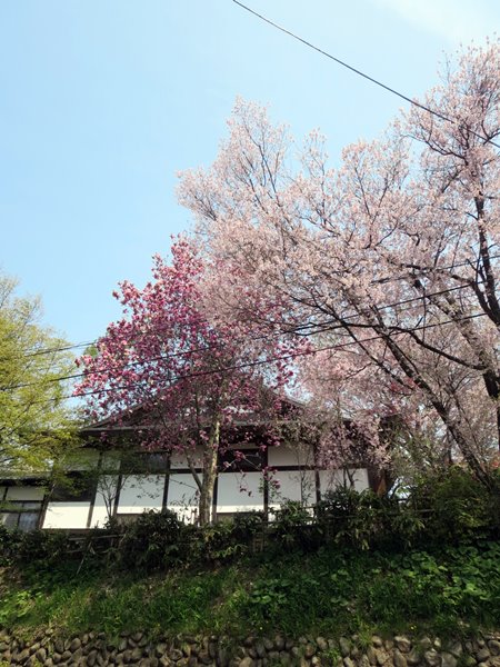 b0009849_171907.jpg