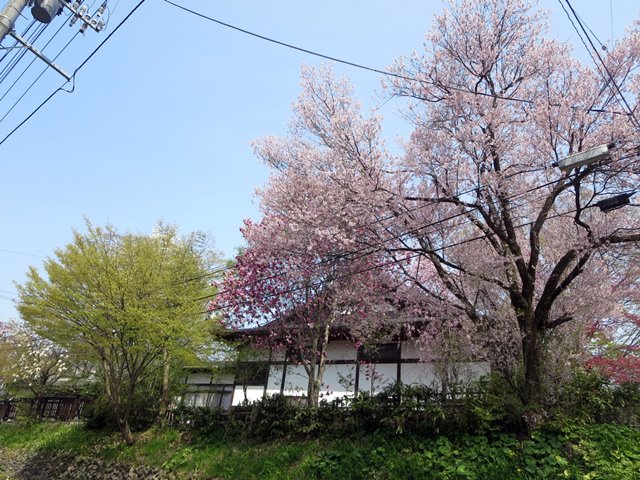 b0009849_17242524.jpg