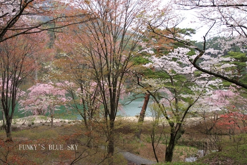 c0145250_11431434.jpg