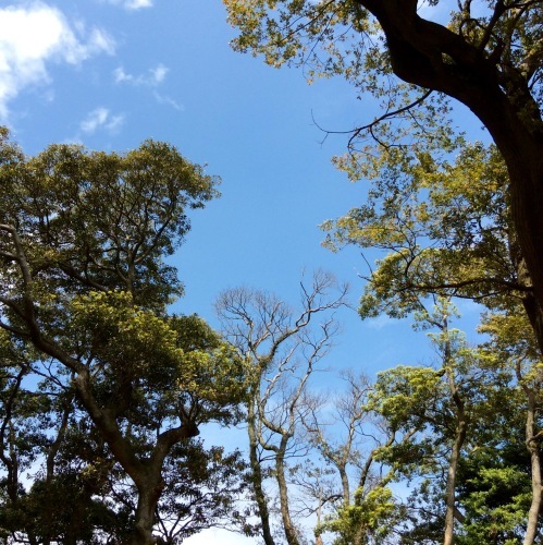 c0340351_14205148.jpeg